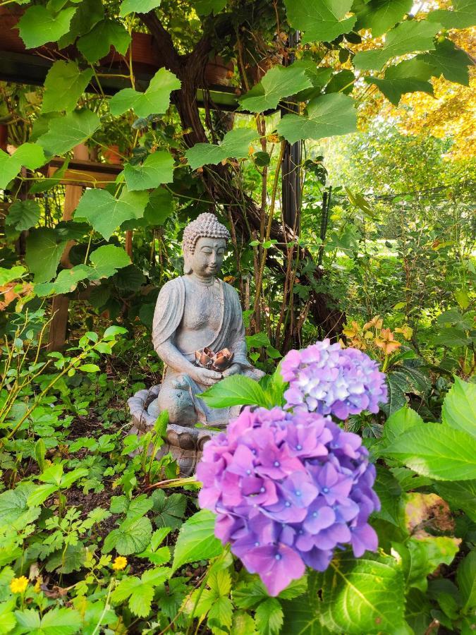 Modernes Zimmer Am Park Mit Garten, Huehner & Enten Мюнхен Экстерьер фото